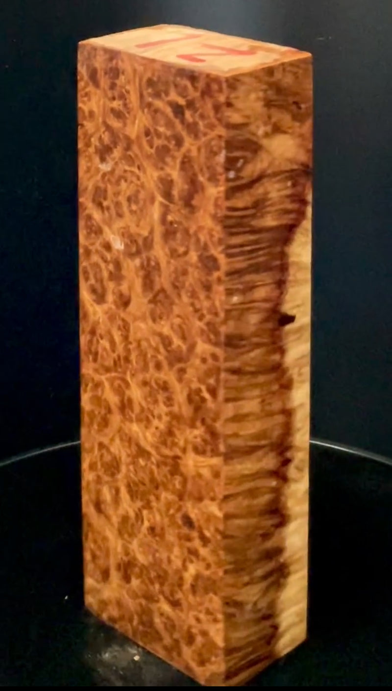 Stabilized Amboyna Burl